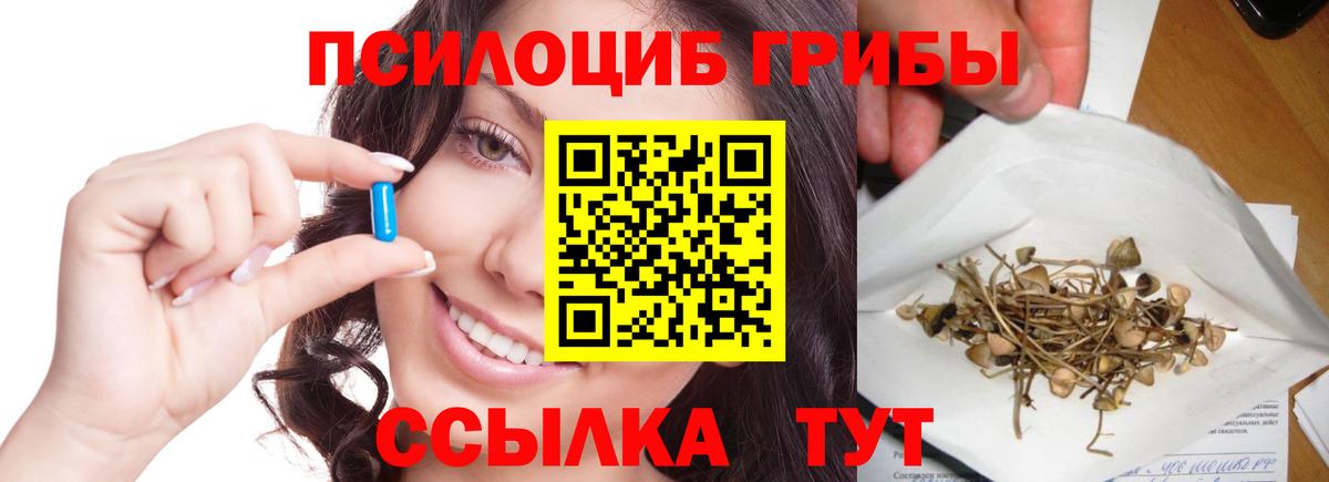 Псилоцибиновые грибы Cubensis  Вход с VPN  Псилоцибиновые грибы Psilocybe  Михайловка 